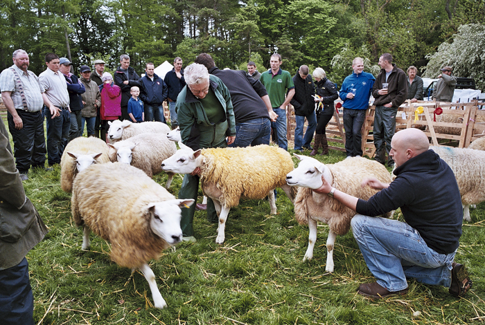 Eastgate Sheep Show: Foreign Bodies, Nomadic Village, May 2012