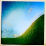 Alternative Landscape