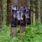 ‘Beasts of the Warren’ back in the woods