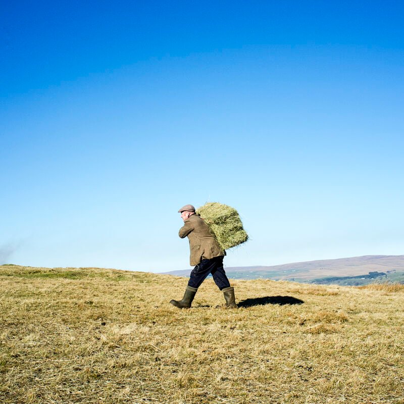 Hefted to Hill